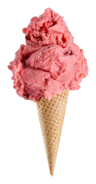 Gelato FRUCTE DE PĂDURE — The Cone