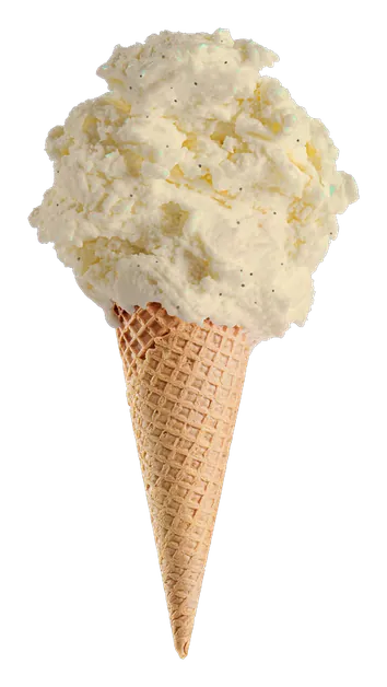 Gelato VANILIE — The Cone